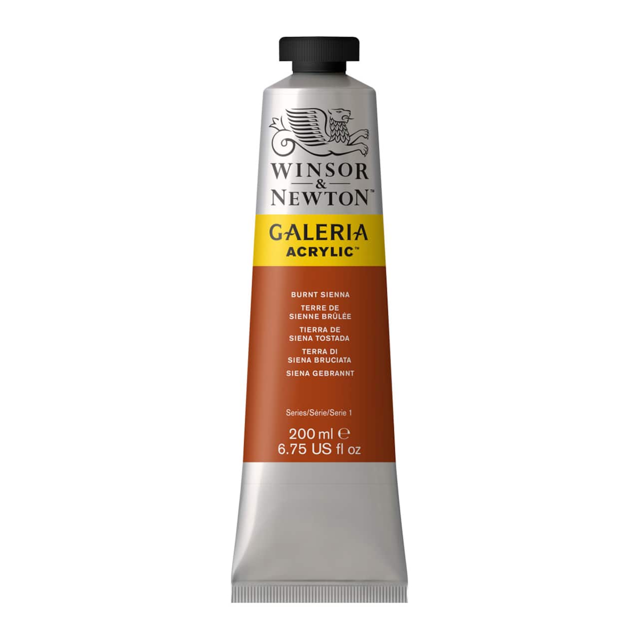 12 Pack: Winsor & Newton™ Galeria Acrylic™ Paint, 200mL